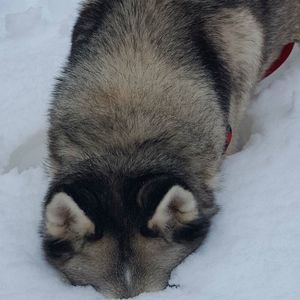 Meet your Posher, Jamie